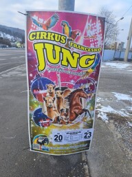 PLAKAT JUNG